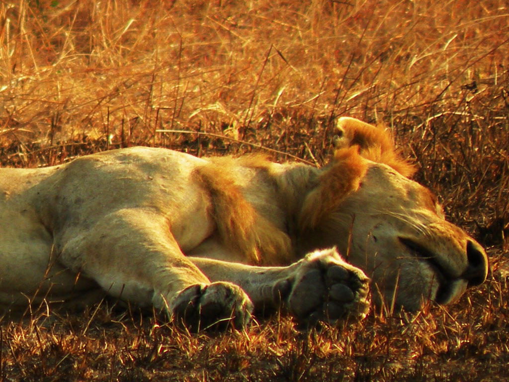 Tanzania